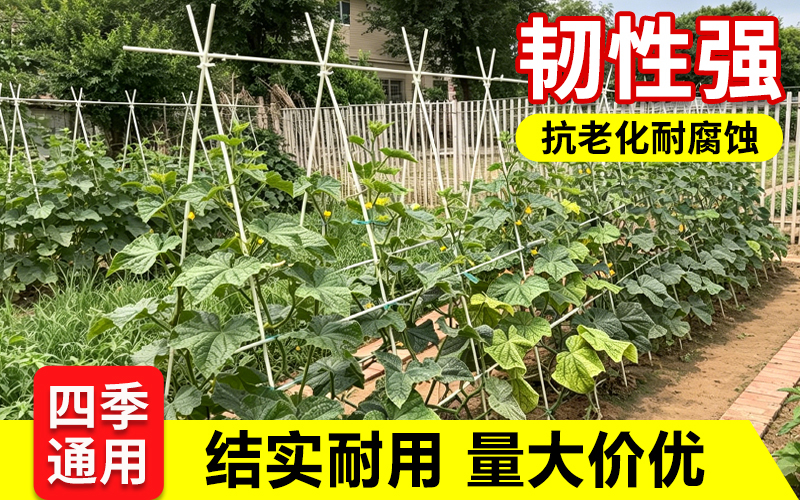 实心4.jpg