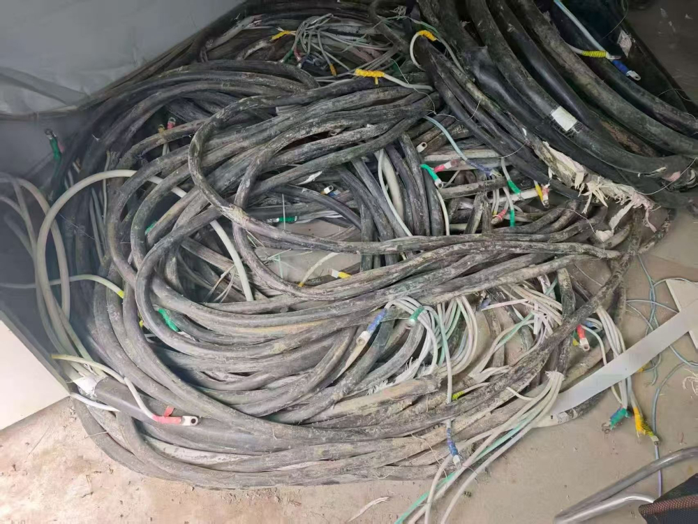 微信图片_20261026143124_35_1317.jpg