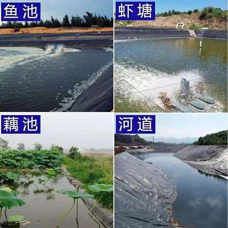 2026年中养护土工布供应商选择指南：从技术指标到工程落地的综合评估