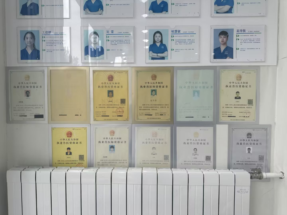 执业兽医师证上墙.jpg
