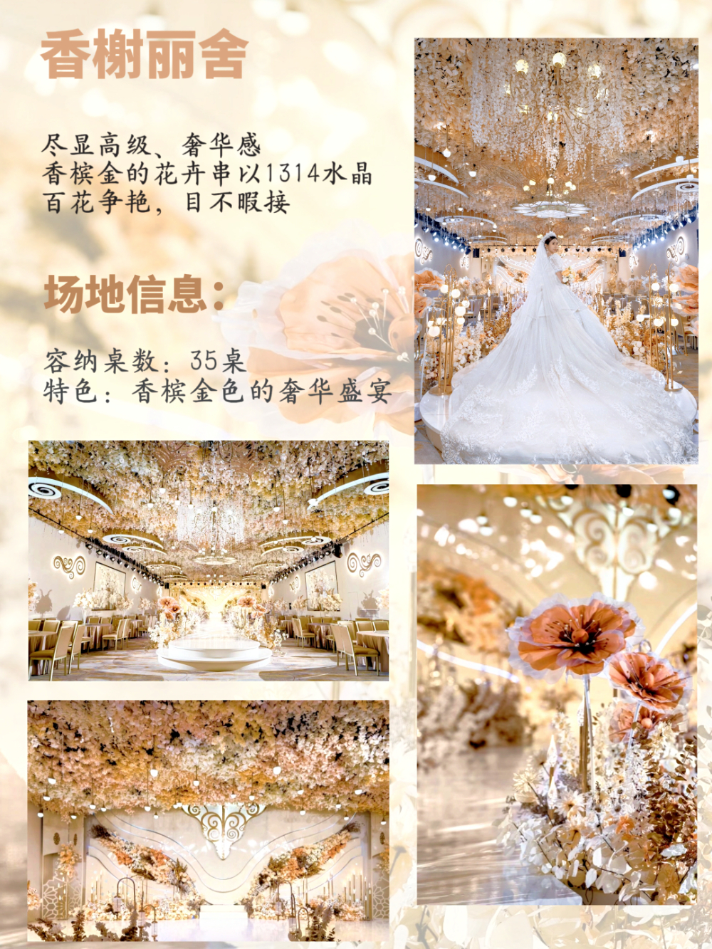微信图片_20261026122534_84_325.jpg