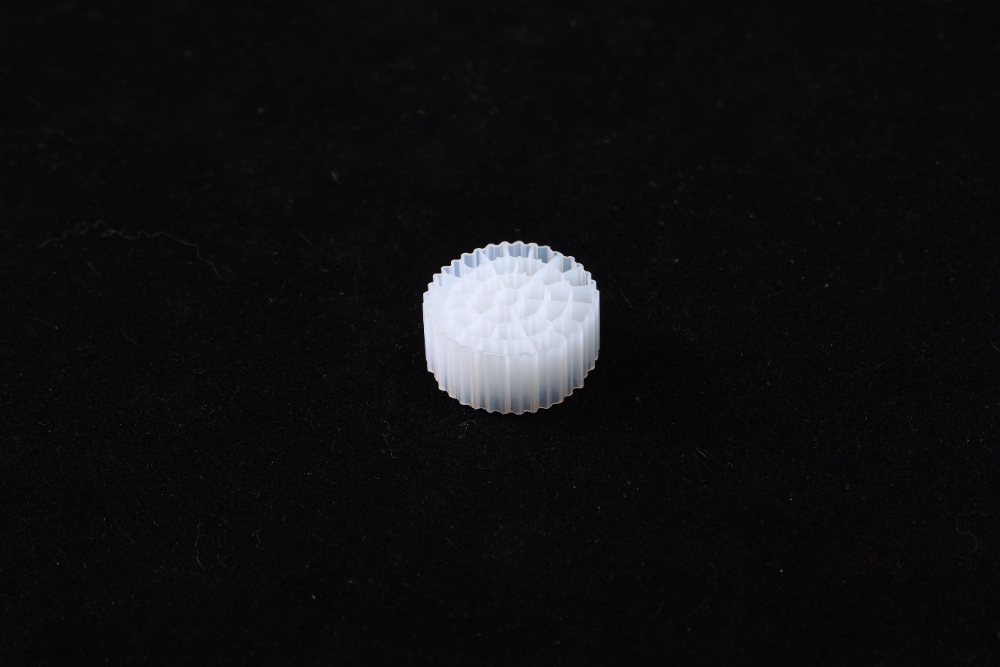 CO3A7924.JPG