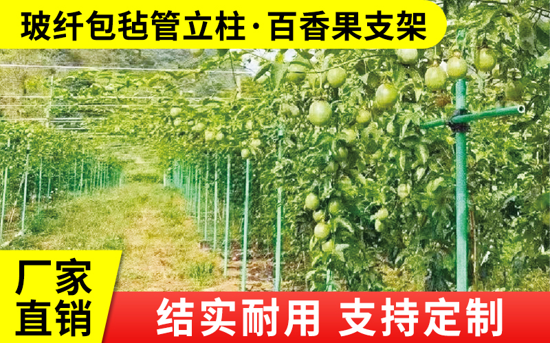 包毡4.jpg