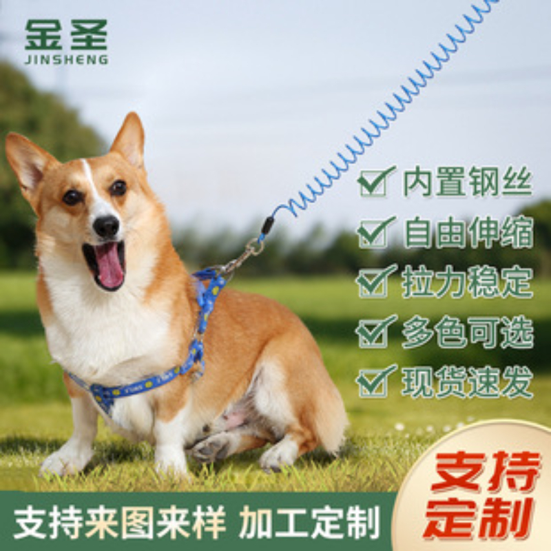 防丢牵引绳.jpg