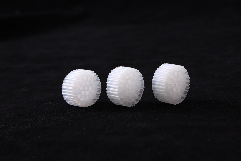 CO3A7927.JPG