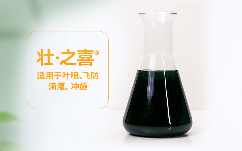 海南大棚蔬菜水溶肥厂家选择指南：从源头把关品质与供应