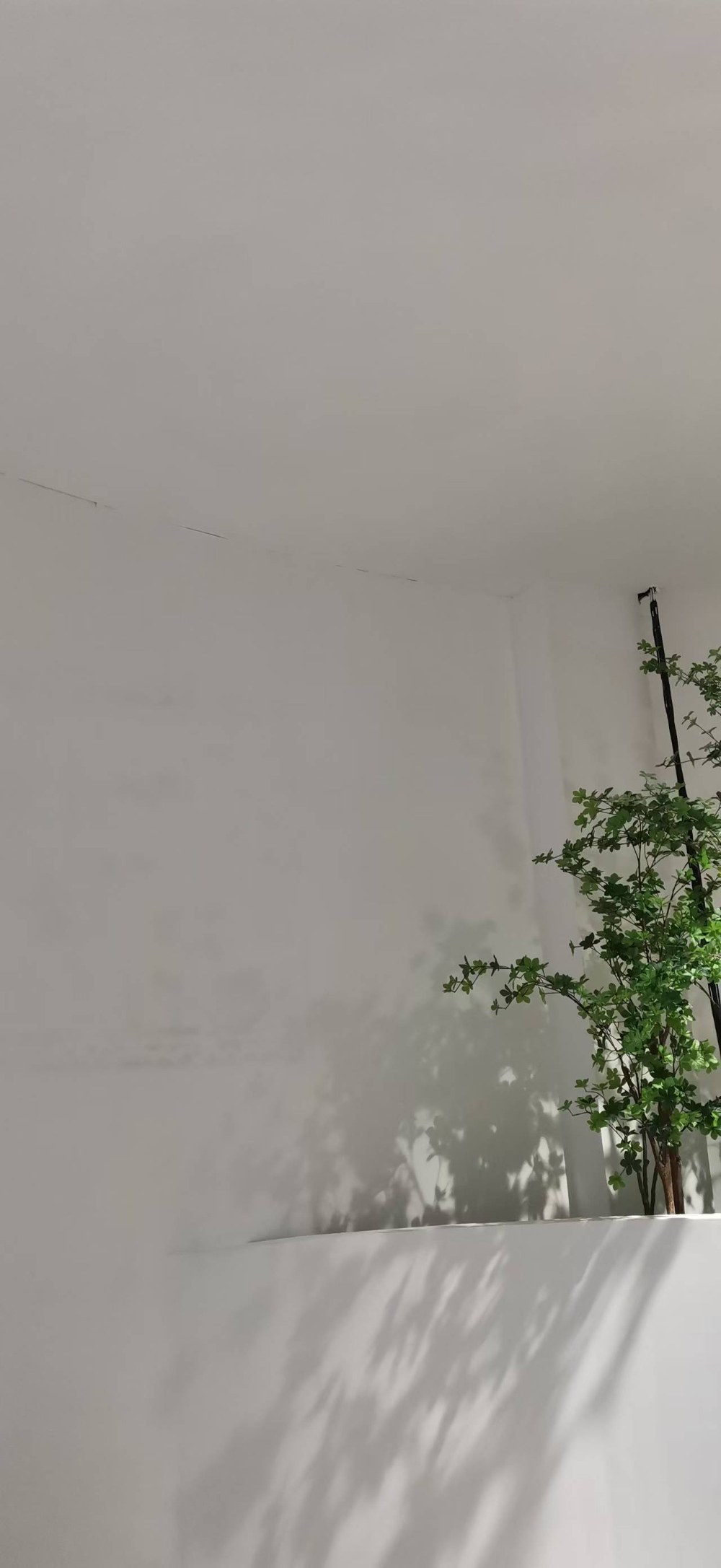 微信图片_20260929143723_10_105.jpg