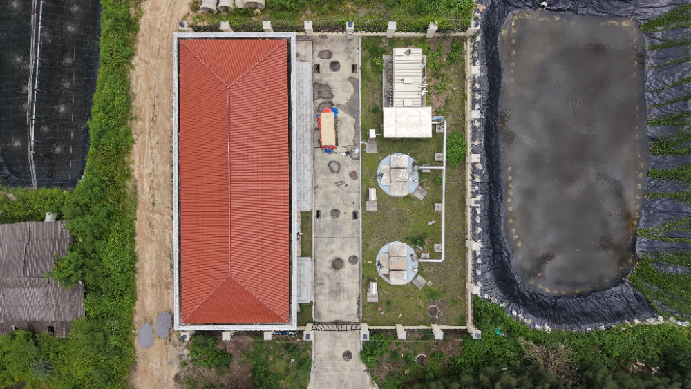 dji_fly_20260705_121748_0033_1783299535254_photo.jpg