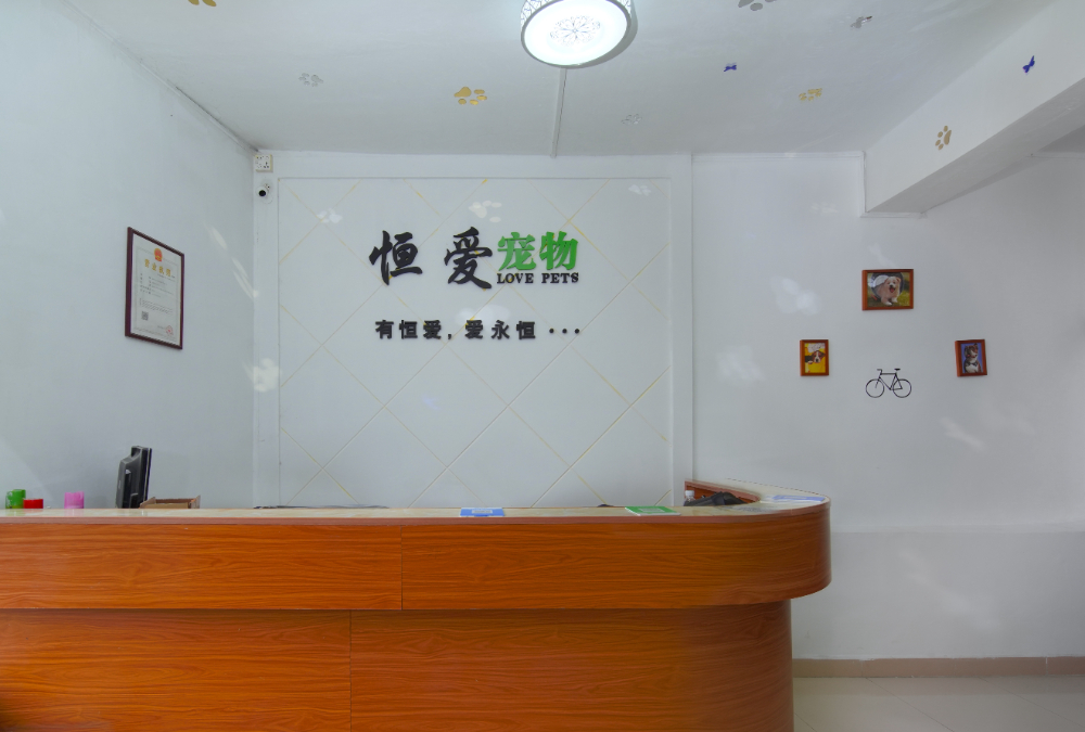 2026下半年坪地宠物玩具服务机构选择指南：从供应链到...
