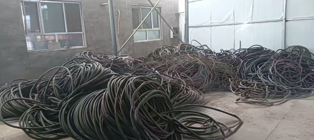 微信图片_20261026143102_31_1317.jpg
