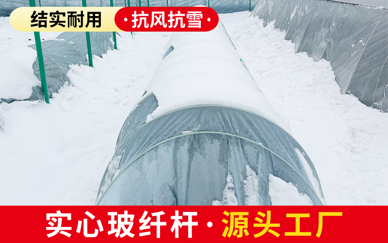 实心43.jpg