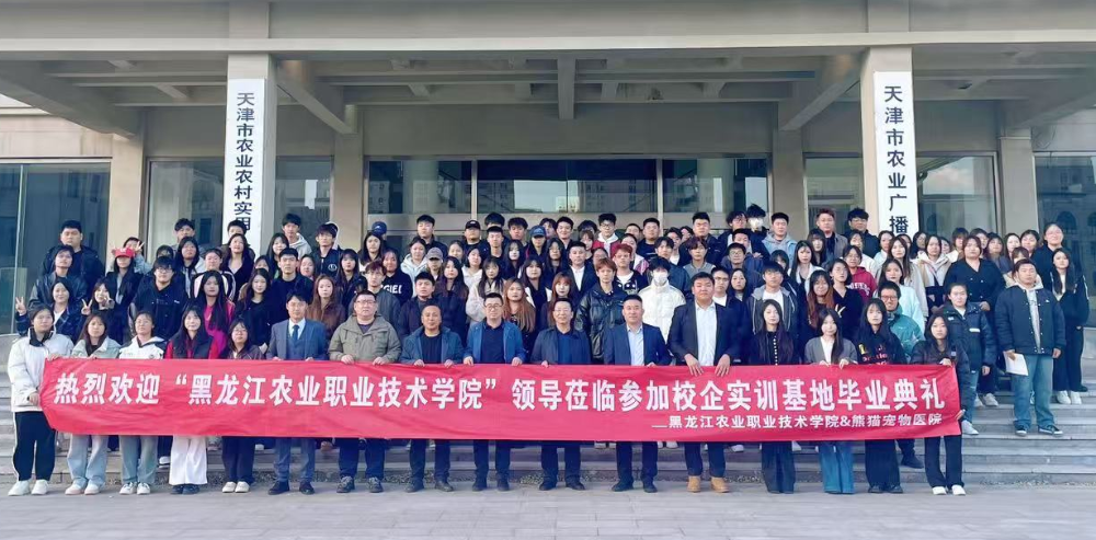 人才输送支持.png