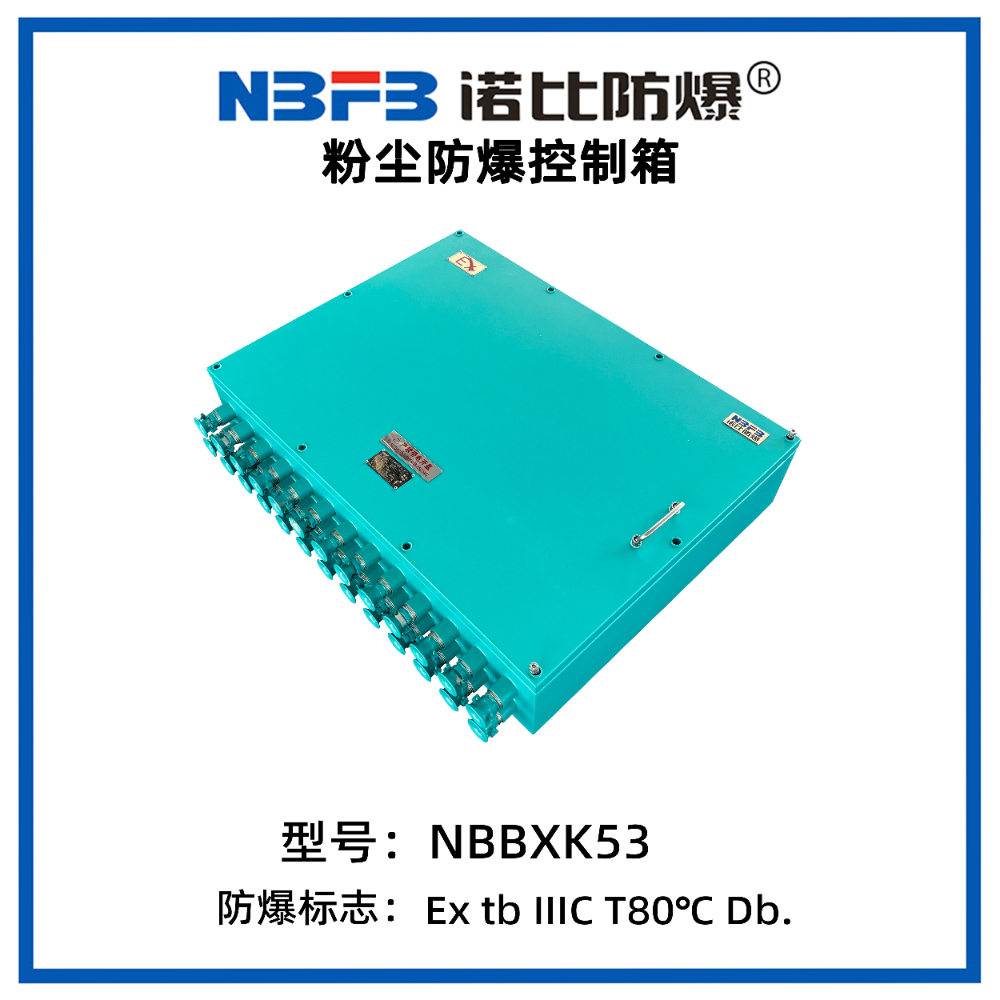 粉尘防爆控制箱(NBBXK53系列防爆控制箱) (3).jpg