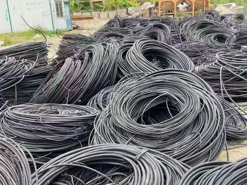 微信图片_20261026143243_50_1317.jpg