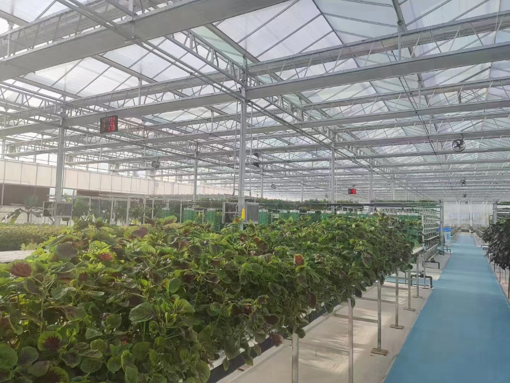 连栋温室大棚钢管选择指南：天津有实力的温室大棚服务商怎么挑