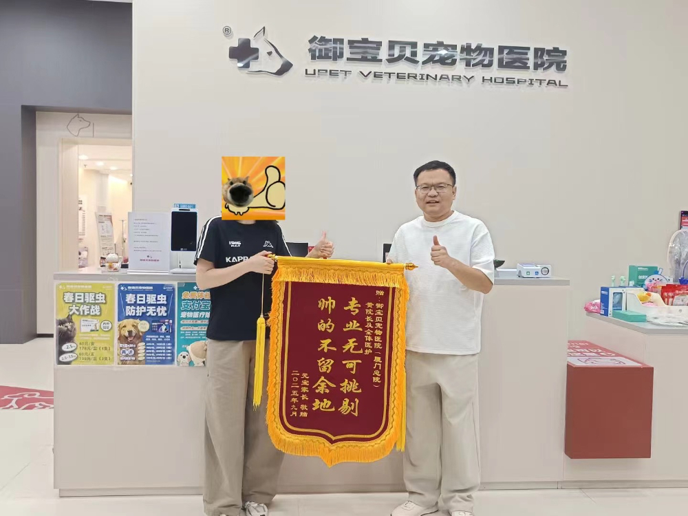 厦门心脏彩超宠物医院哪家靠谱？避开这6个选择的坑