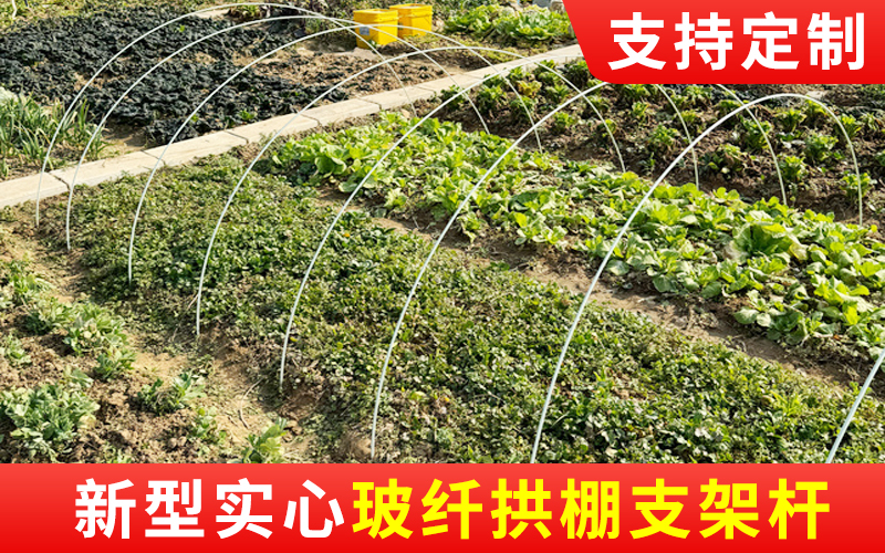 2026年10月甘肃蔬菜拱棚支架怎么选？专业销售公司推...