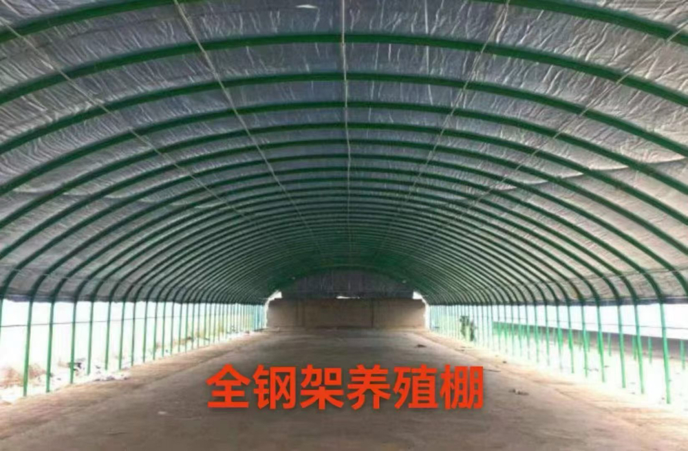 db1ca1c4d8f4fb2cb9c9ddf85da7b332.jpg