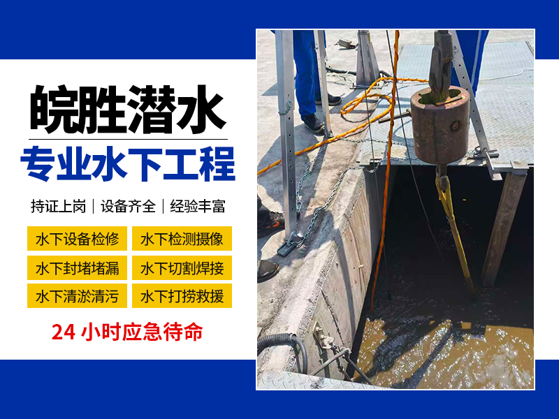 画板 9.png
