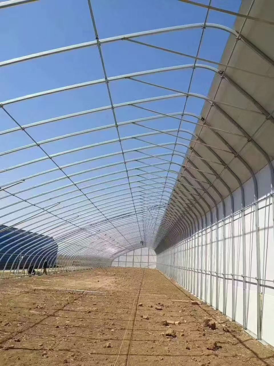 2026精选可靠的大棚骨架销售厂家，到底该怎么选？