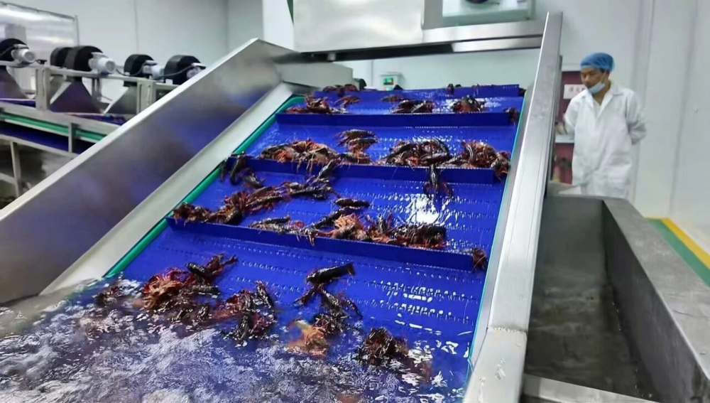 十三香小龙虾采购选型指南：解锁洪泽区域优质冻虾货源