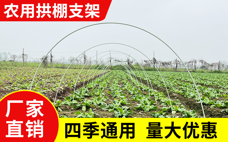 实心9.jpg