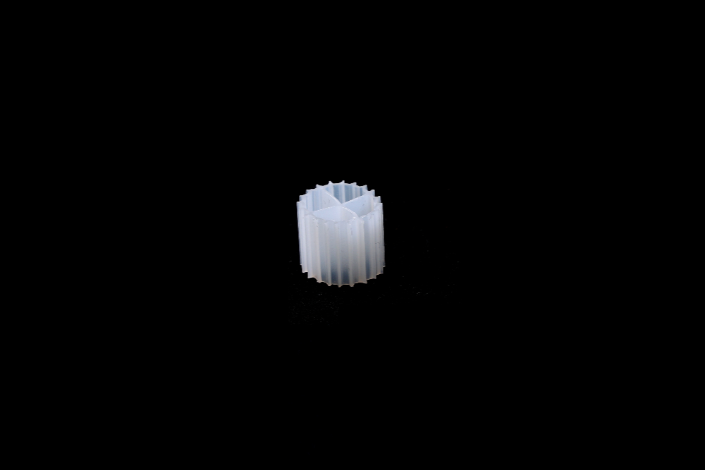 CO3A7934.JPG