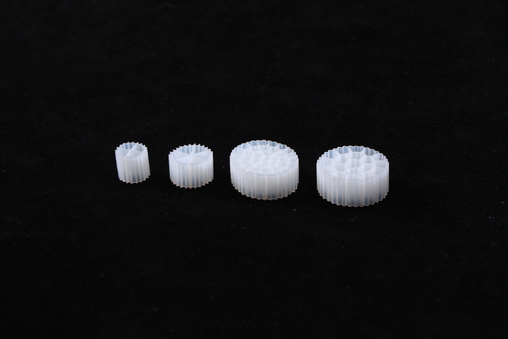 CO3A7929.JPG