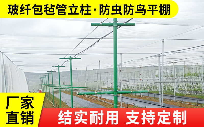 包毡5.jpg