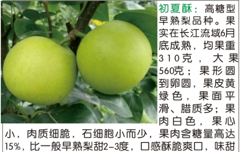4ccb9109-3918-4a33-b979-c6597ad23d1d.png