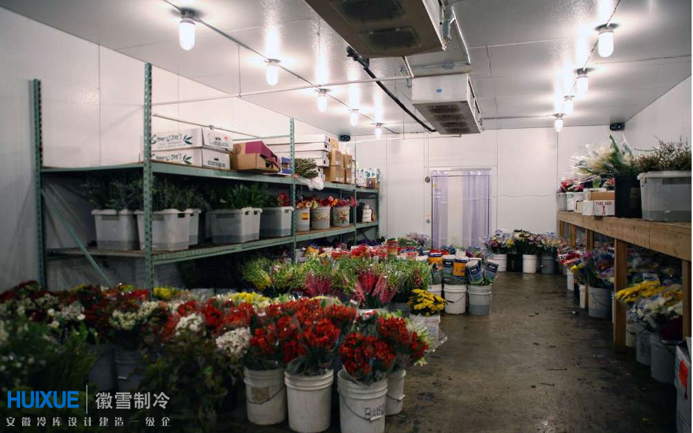 2026年近期有名的冷库供应厂家深度解析与选型指南