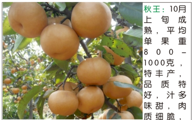fe234b28-87f2-4024-890c-de9341b8a678.png