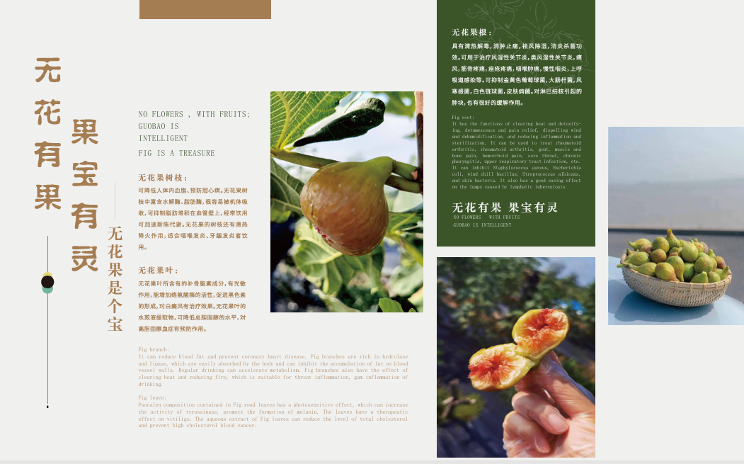 b0d5cae4-bf02-4990-807d-9ea004261371.png