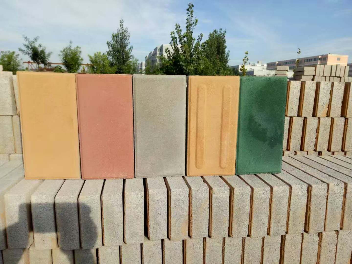 e6996a7c-a697-4dee-81f4-70f326a704e0.jpg