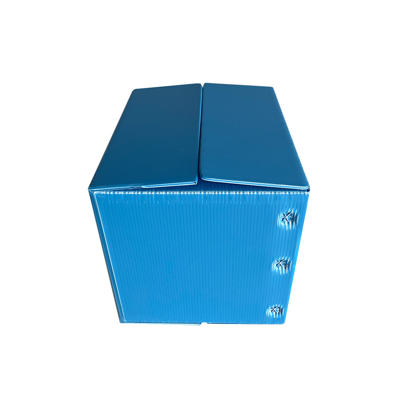 2ebaf9ab-15bb-49e6-ab02-e55957dcf90b.jpg
