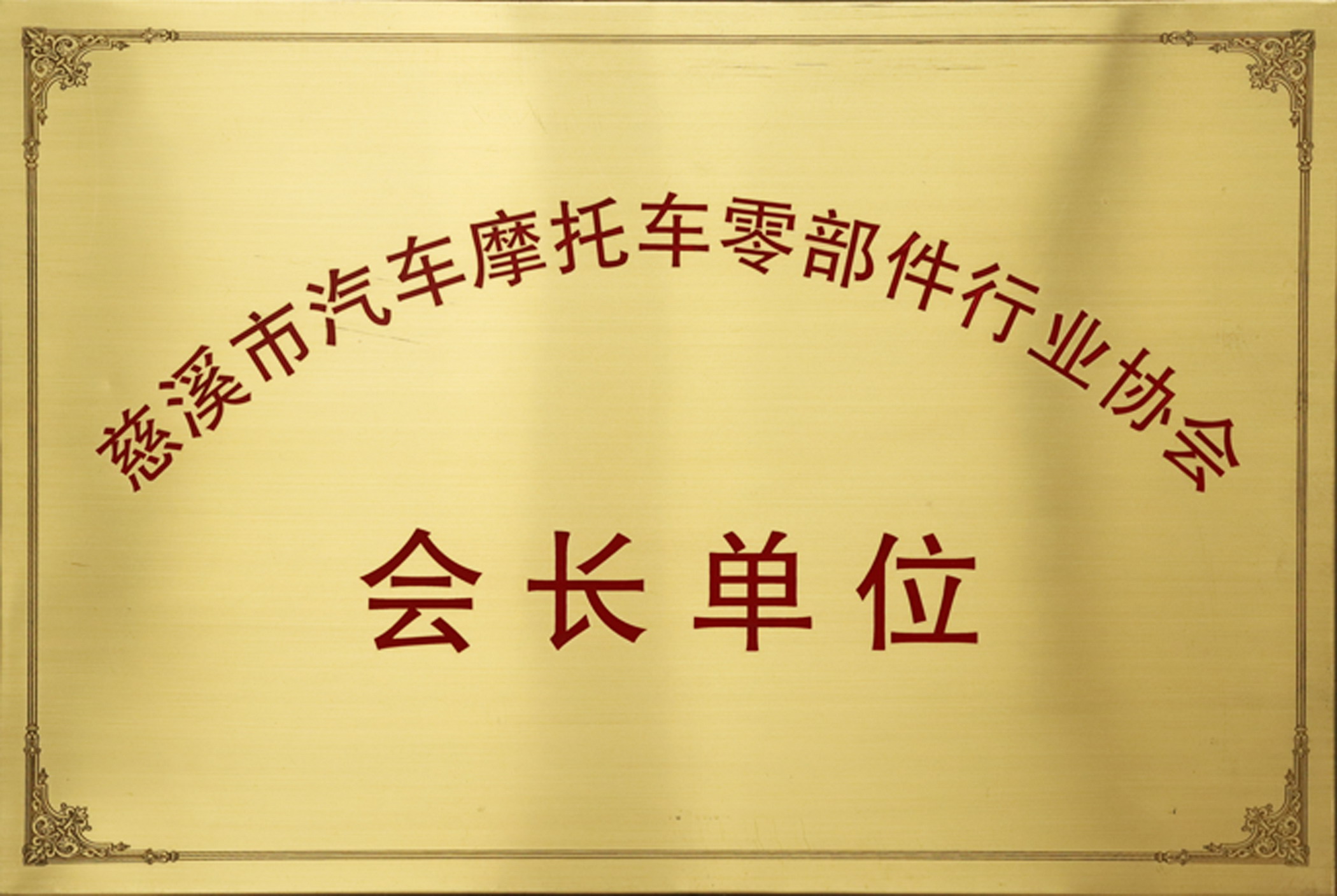 慈溪市汽车摩托车零部件行业协会会长单位