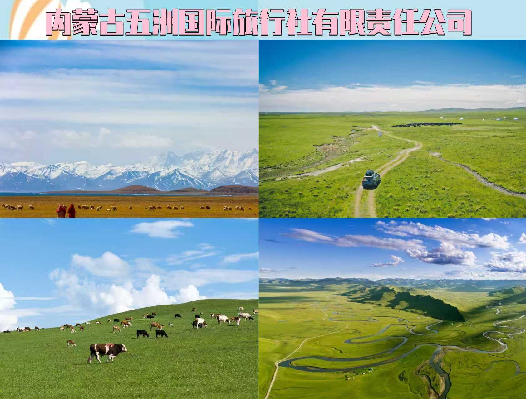 97dcec9c-a4a0-4979-81f8-8f65a7fd8b79.jpg
