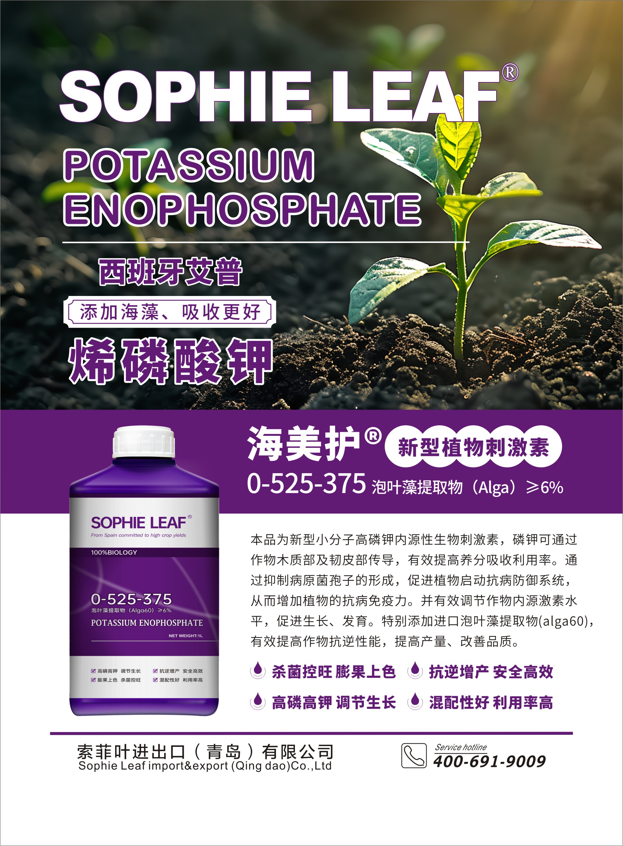 f99334ed-ef7b-45ca-90a4-b2183608303e.jpg
