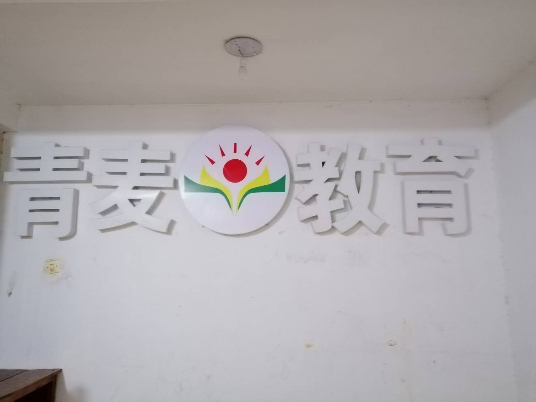 2026精选素养培育机构：青麦教育如何重构个性化成长路径