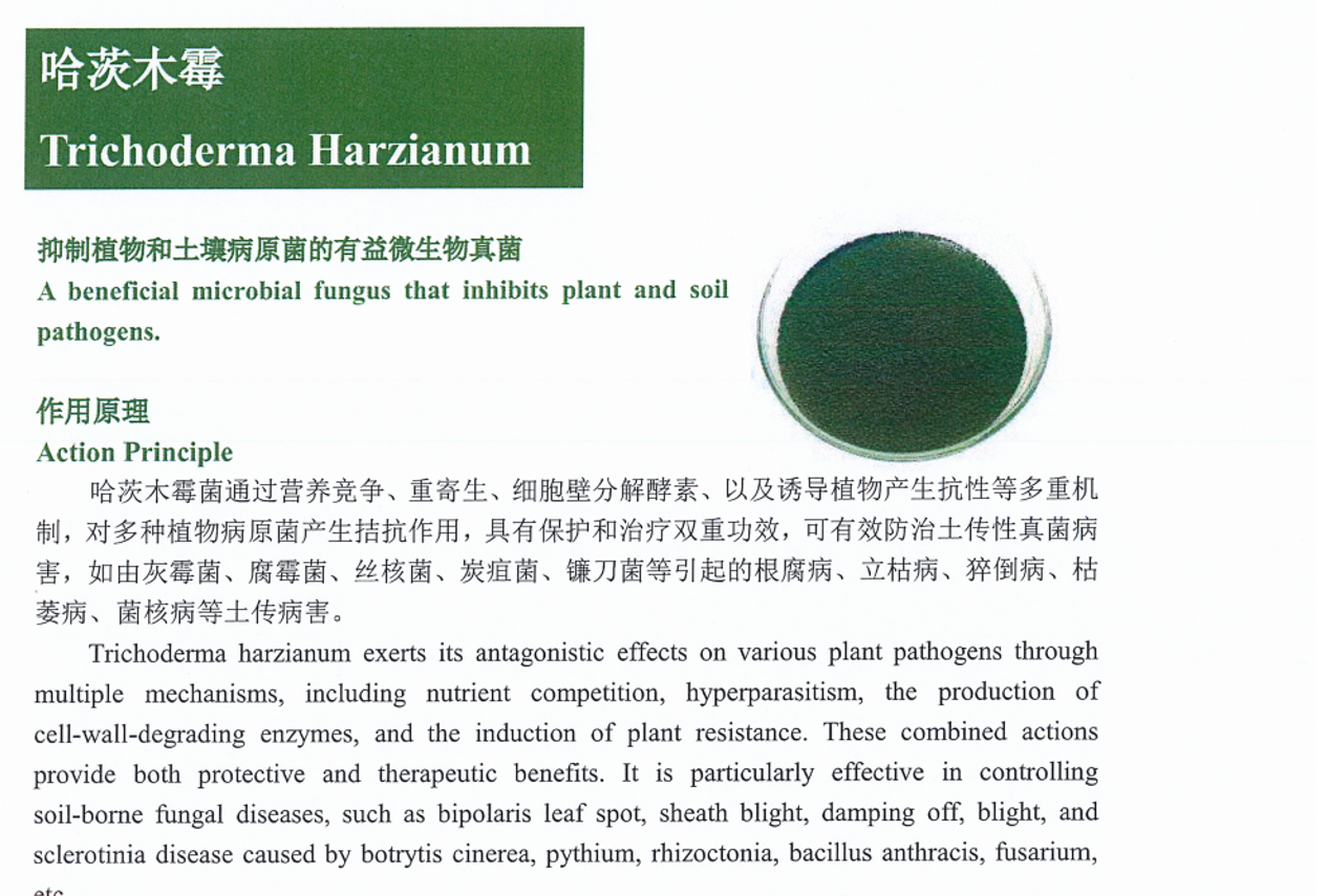 9e6eb47c-5cca-4bc4-ac90-8c2067961e8f.png