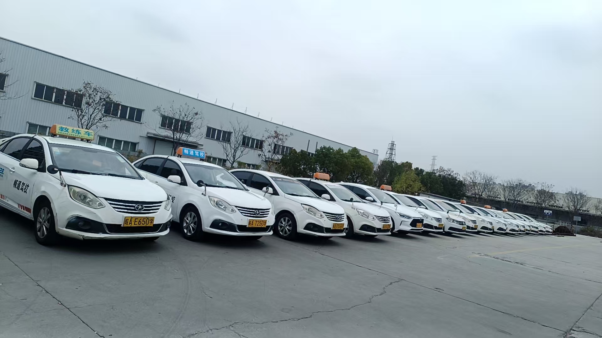 df5e3507-c3cc-44d4-a02f-769bc0b84788.jpg