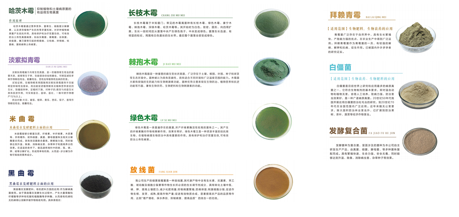 fe058f07-9321-4ed0-8318-66a2ccdf2b0e.png