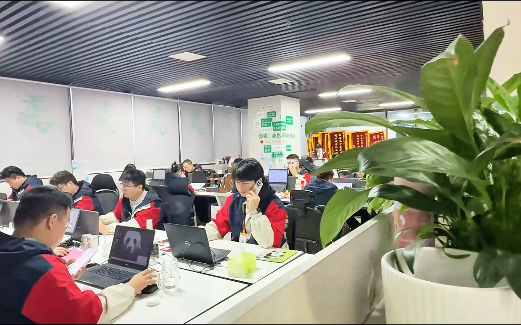 总部.jpg