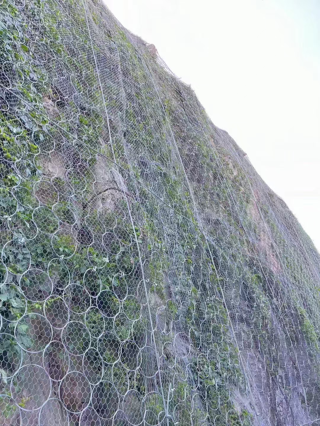 护栏网 (4).jpg