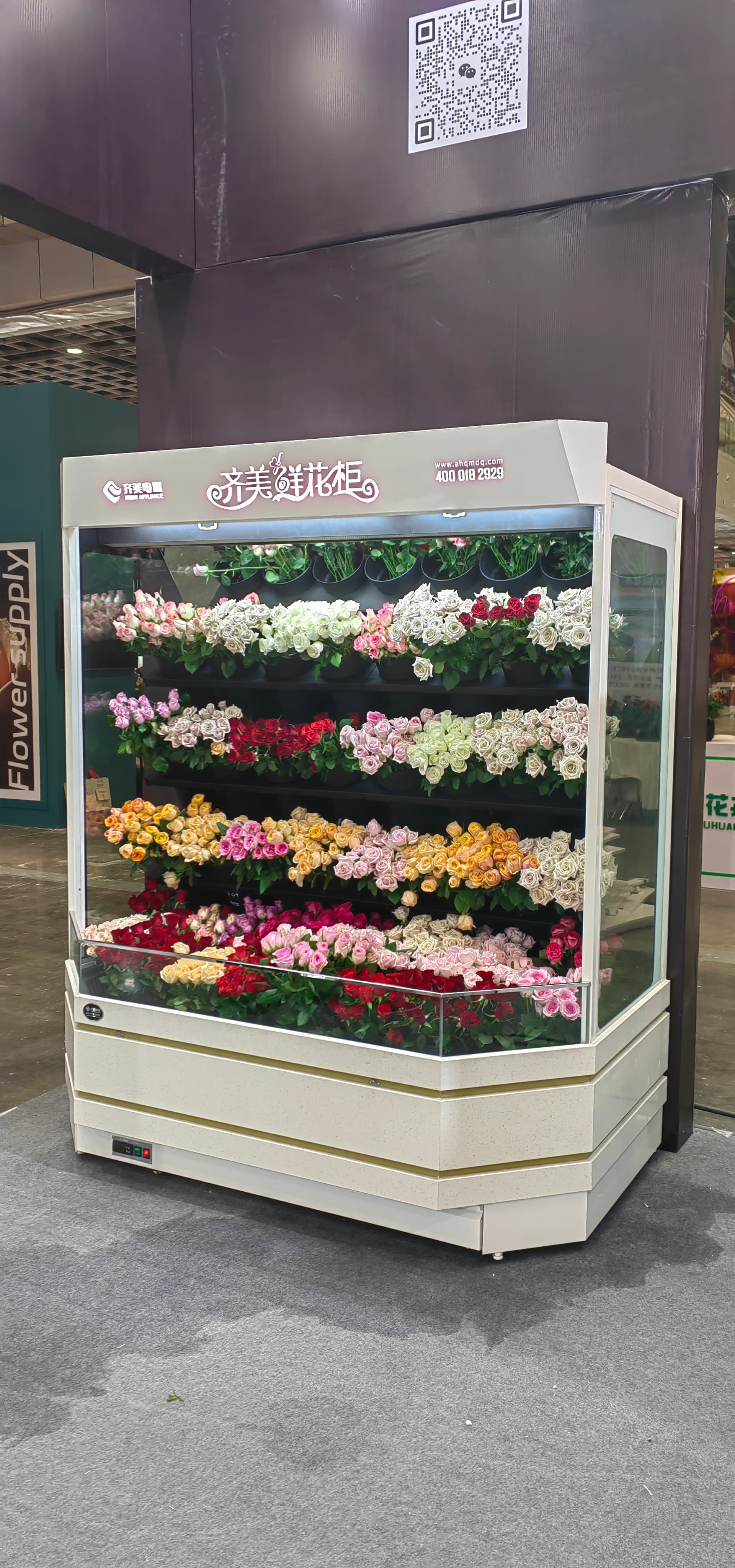 鲜花柜口碑之选：合肥市齐美电器有限公司的恒温保鲜解决方案